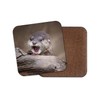 1 x Baby Otter Coaster - Wild Animal Nature Cute