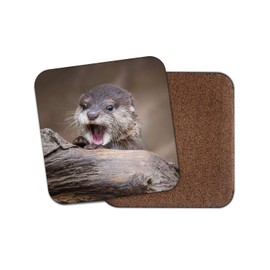 1 x Baby Otter Coaster - Wild Animal Nature Cute Funny Wildlife #16433