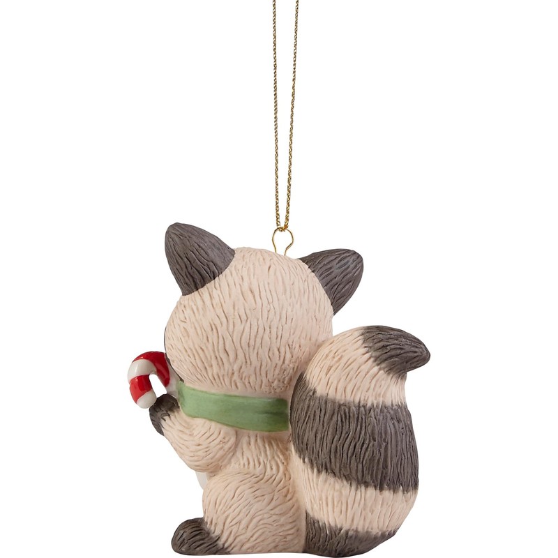 Precious Moments Raccoon with Mini Tree Ornament – Adorable Little