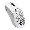 Balam Rush Mouse Gamer Speeder Light MG969 1000dpi 6 Botones