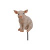 Vivid Arts PLP-119 Plant Friend with Sitting Pig
