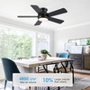 POCHFAN 42 Inch Black Ceiling Fans with Lights and Remote,