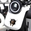 Dachshund 3D Ripped Effect Car Sticker, Funny Dog Decorative Sticker