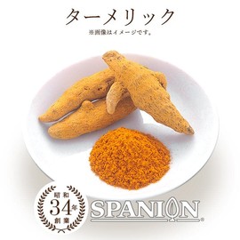 ターメリック (ウコン) パウダー 100％ 100g カレースパイス スパイスカレー ｜保存に便利なチャック付袋入り！｜ ウコンパウダー ターメリックパウダー 粉末 秋うこん 業務用 スパイス カレー