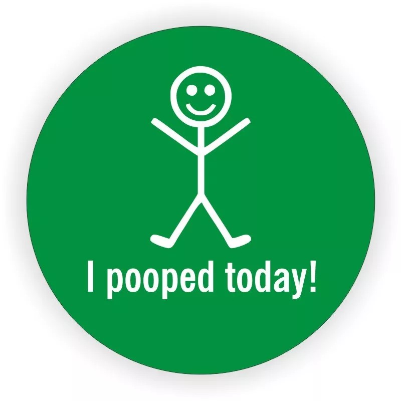 Unbranded/Generic 3 pcs Funny I POOPED TODAY Hard Hat Stickers