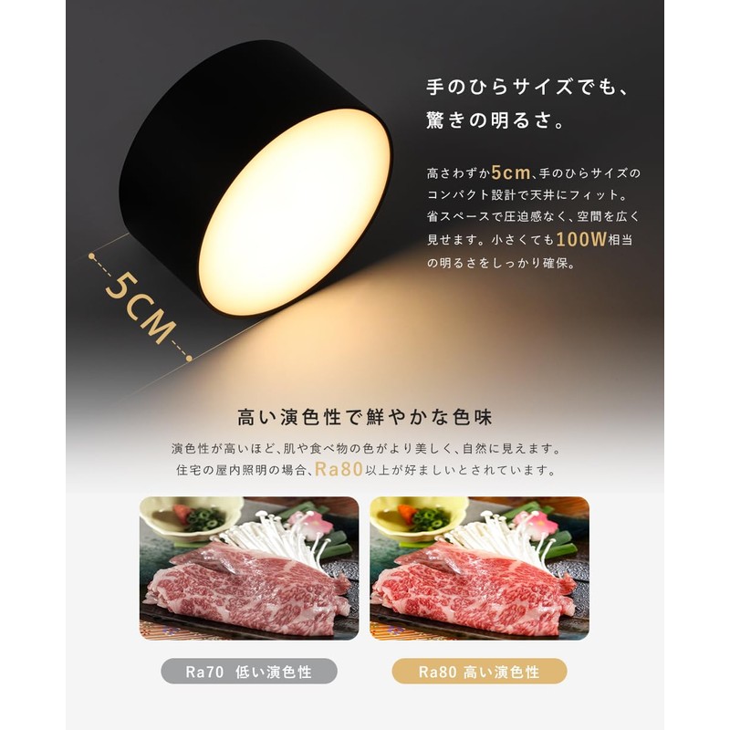 Kyoudou Shoumei Mini Ceiling Light Integrated LED Built-in 100W Equivalent