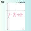 コクヨ(KOKUYO) カラーレーザー インクジェット ラベル 透けない KPC-SK101-20