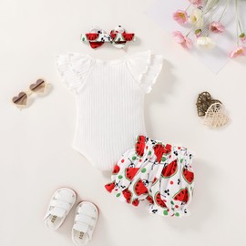 YOUNGER TREE Newborn Infant Baby Girl Clothes Romper Shorts Set Floral Summer Outfits Cute Baby Girl Clothing(Ants like summer,0-3 Months)