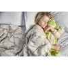 Warmies Warmies 3D Hot Water Bottle - Frog