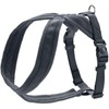 HUNTER LONDON Comfort Harness, Anthracite, M
