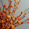 JINGHONG 6 Pack Fall Berry Stems 17" Tall Orange Pumpkin