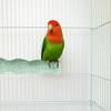2 Pcs Parrot Perch, Bird Perch for Cage with Wavy