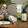 The Body Shop Avocado Lotion-to-Oil, For Dry Skin, 72Hr Moisture,