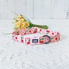 Olahibi Dog Collar and Leash Combo Set, Cherry Fruit Pattern,
