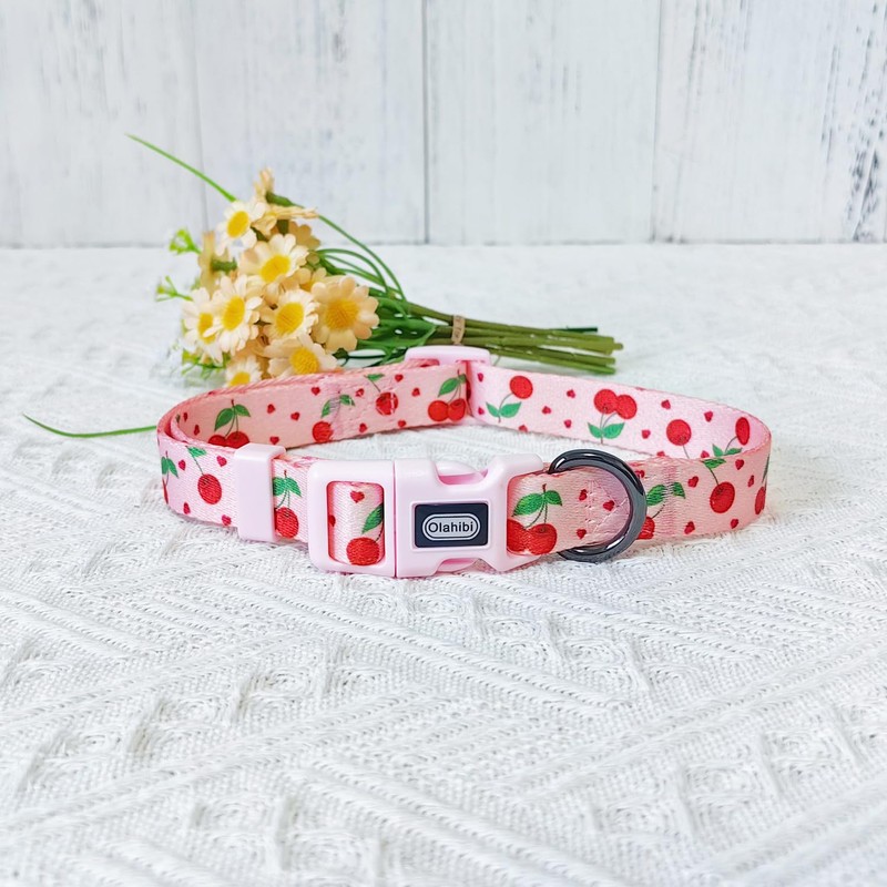 Olahibi Dog Collar and Leash Combo Set, Cherry Fruit Pattern,