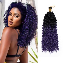 S-noilite Curly Braiding Hair,Marlybob Crochet Braids Hair Extensions 14 Inch Deep Wave Afro Kinky Jerry Curl Pre Stretched Ombre Braiding Hairpiece for Black Women,1 Pack 100g,Black to Purple Blue