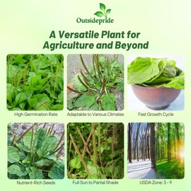 Outsidepride Common Green Plantain Seeds for Planting - 5,000 Pcs Perennial, Easy-to-Grow Herb Seeds for Culinary, Farm & Household Uses, Low-Growing Foliage for Tropical & Subtropical Climates