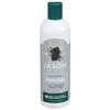 Jason Clarifying Charcoal 2-in-1 Shampoo-Conditioner, 12 oz