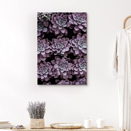 SIGNFORD Canvas Print Wall Art Purple Rose Succulent Array Floral Plants Photography Realism Southwest Relax/Calm Multicolor Ultra for Living Room, Bedroom, Office - 32"x48"