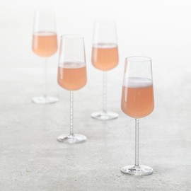 Zwiesel Glas Journey Crystal Champage Flute, 12 Ounce (Set of 6)