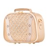 Tiana Cosmetic Case Vanity Case Box with Applications 22 x