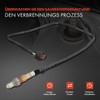 Frankberg Diagnostic Probe Compatible with C-Max II DXA/CB7 DXA/CEU 1.5L