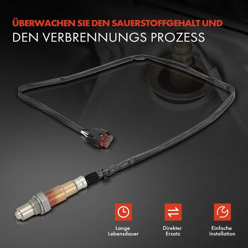 Frankberg Diagnostic Probe Compatible with C-Max II DXA/CB7 DXA/CEU 1.5L