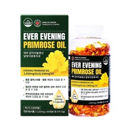 에버 감마리놀렌산 달맞이꽃종자유 1025mg x 365캡슐 Evening Primrose Oil with Gamma-Linolenic Acid 1025mg x 365 Capsules