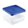 Westmark 4 Food Storage / Freezer Containers with Lid Capacity