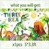 Three Rex Birthday Party Decorations Boy Dinosaur 3rd Birthday Party