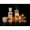 NEST Fragrances 3-Wick Candle- Spiced Orange & Clove, 21.2 oz