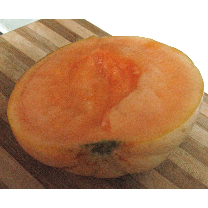 HAOGEN CANTALOUPE SEEDS- Grow Large Sweet Juicy Melons