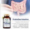 ProbioGea Intestino Salugea - 60 capsule - Probiotico per l’intestino
