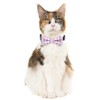 2 Pack/Set Cat Collar Breakaway with Cute Bow Tie and