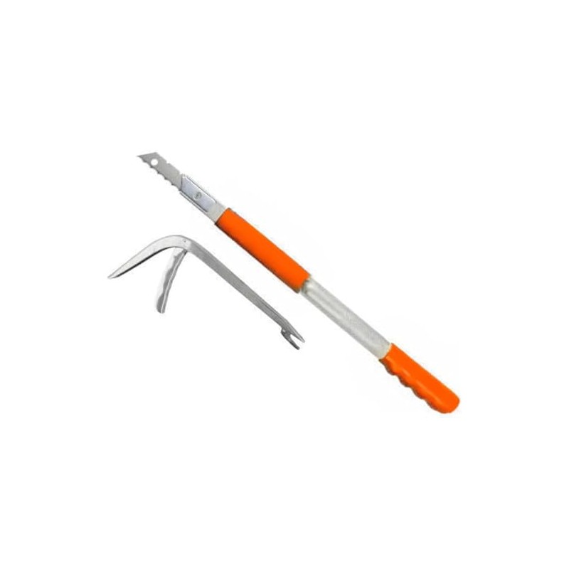 Cactus Combo Kit - Premium Pruning and Propagation Set for