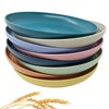 CAMBUY Wheat Straw Plates Lightweight Unbreakable Dinner Dishes Plates Set