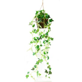 Kugusa Fake Green Hanging Artificial House Plant Wall Hanging Hanging Artificial Flower Decor Green 70cm (Ivy)
