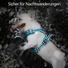 PoyPet No Pull Dog Harness, Reflective Dog Harness for Dogs