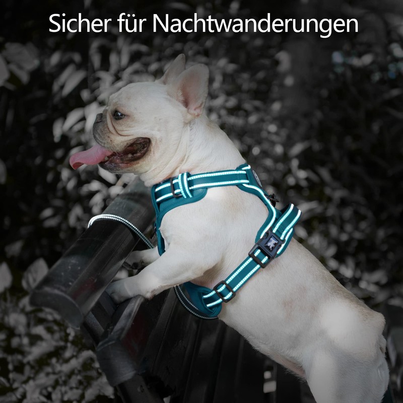 PoyPet No Pull Dog Harness, Reflective Dog Harness for Dogs
