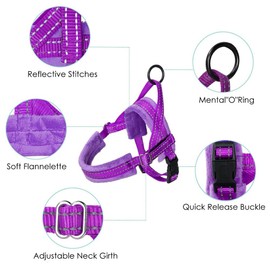 Lukovee Dog Harness and Leash Set, Soft Padded Adjustable Reflective Vest With 4ft Lightweight Anti-Twist Leash for Small Dogs (Small, Purple)