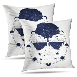 SAN PELLEGRINO Cherry Lemon 4(6x330ml)