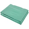 Outsunny 9.8' x 6.6' x 6.6' Plastic Greenhouse Cover Replacement,