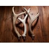Tall Mule Deer Antler Beer Tap Handle for Kegerators Keezers