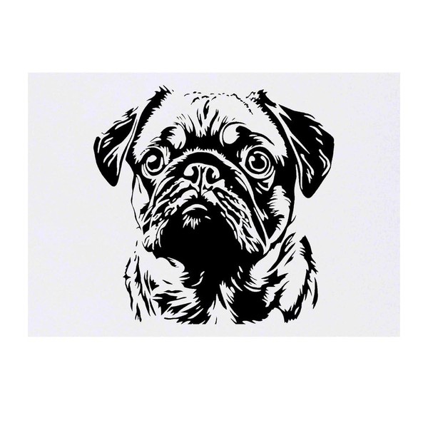 'Pug Portrait' Temporary Tattoo - Water Resistant, Skin-Safe, Non-Toxic Transfer