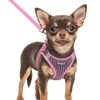 Eagloo Small Dog Harness and Leash Set, Step in Puppy