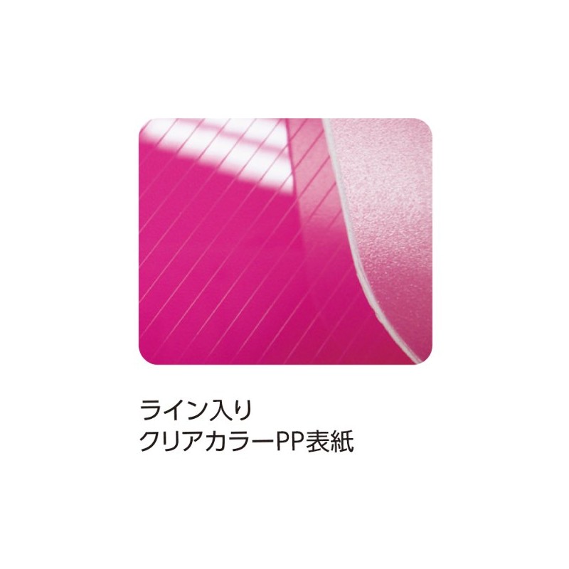 Nakabayashi Pocket Album, Candy Color, Large, 240 Sheets, Blue, Aka-CPL-240-B
