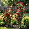 SCENDOR 2 Pack Arched Metal Garden Trellis for Climbing Plants