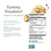 The Ginger People Ginger Rescue Digestive Wellness Lozenges (Hard) |