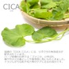 CICA Extract, 1.0 fl oz (30 ml), Cosmetics, Beauty Solid,