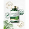 Moringa Oleifera 6000mg | 180 Capsules